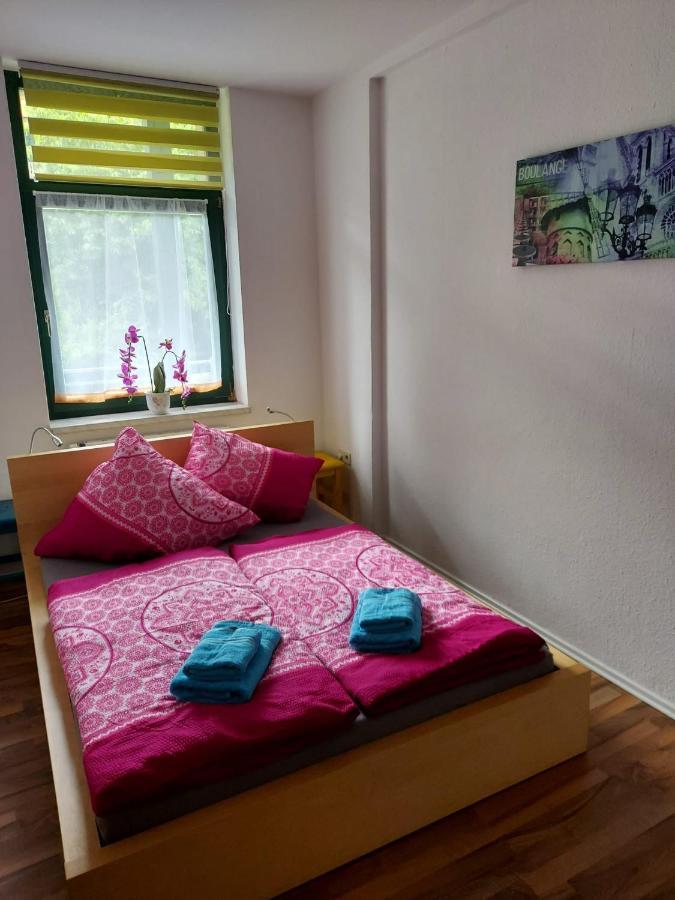 Ferienwohnung Eddi Reichenbach im Vogtland Buitenkant foto